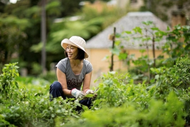 Top Reasons to Hire Vietnamese Gardeners for Your Landscaping Needs